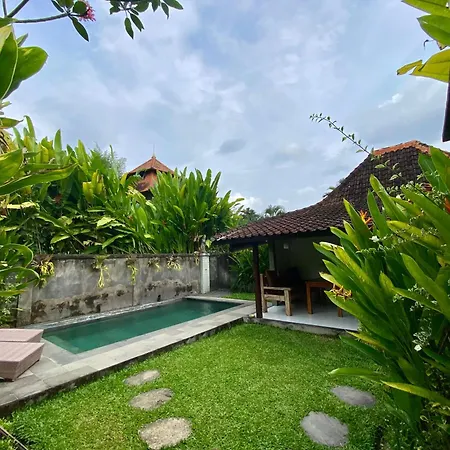Ubud Jungle House Behind Bintang Supermarket Ubud