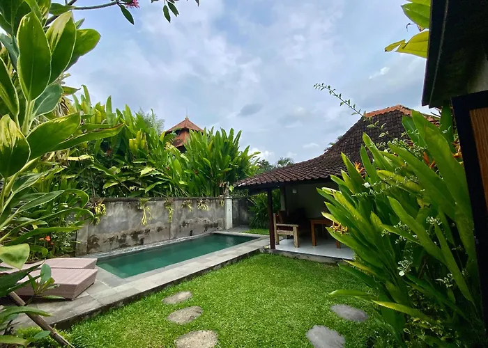 Jungle House Behind Bintang Supermarket