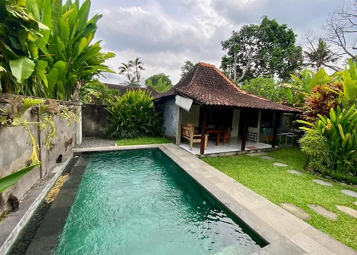 Pensión Jungle House Behind Bintang Supermarket