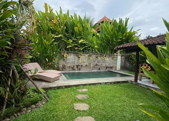 Jungle House Behind Bintang Supermarket *