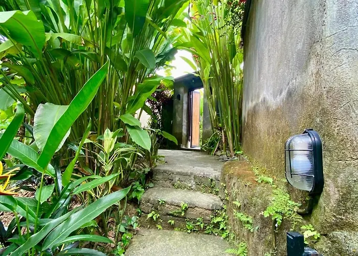 Jungle House Behind Bintang Supermarket *