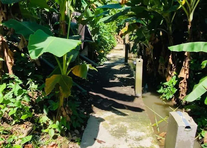 Gasthof Jungle House Behind Bintang Supermarket
