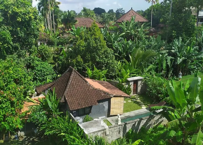 Jungle House Behind Bintang Supermarket Pensión Ubud