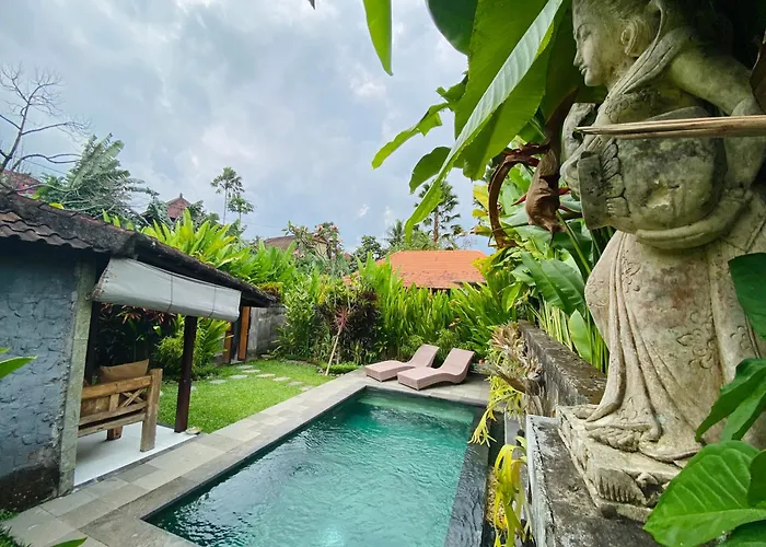 Jungle House Behind Bintang Supermarket Pensión *
