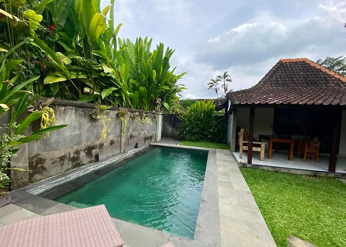 Pensión Jungle House Behind Bintang Supermarket Ubud