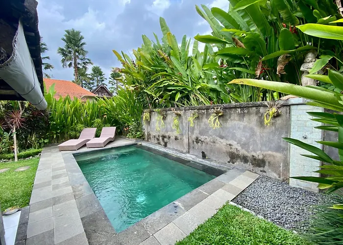 Jungle House Behind Bintang Supermarket *