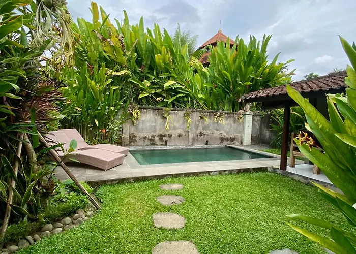 Pensión Jungle House Behind Bintang Supermarket *