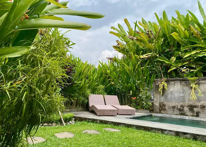 Jungle House Behind Bintang Supermarket *