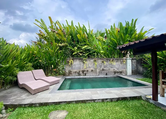 Jungle House Behind Bintang Supermarket * Ubud