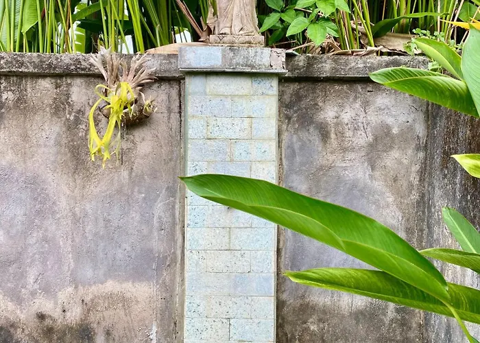 Jungle House Behind Bintang Supermarket Guest house