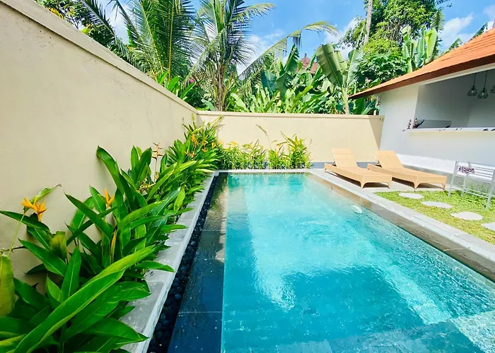 Jungle House Behind Bintang Supermarket Guest house *